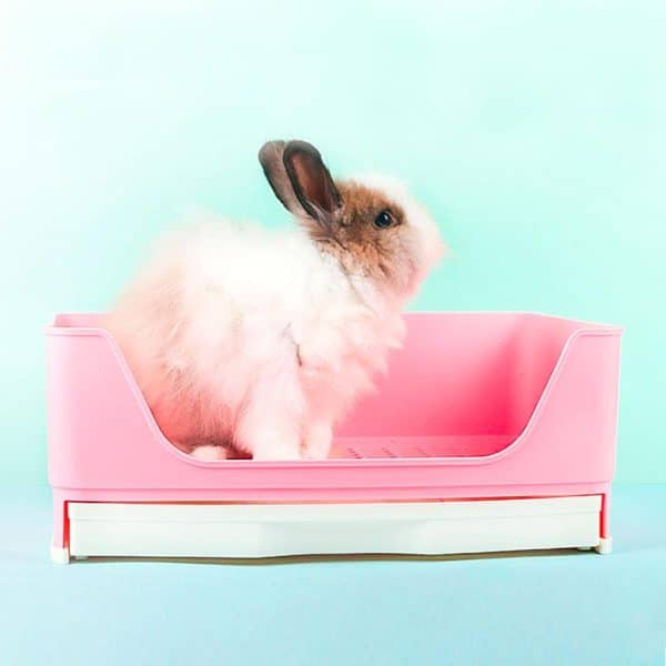 rabbit litter tray