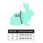 Rabbit harness with color Rabbit World 9