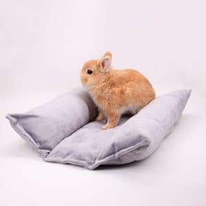 Rabbit bed Snuggle Bed