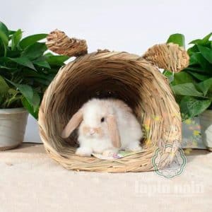 Straw rabbit house