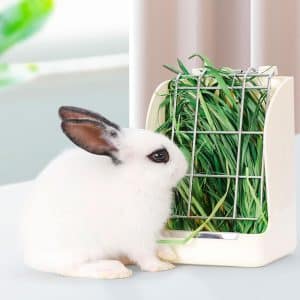 Rabbit hay feeder