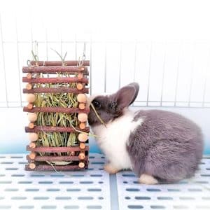Hay feeder for rabbits in wood