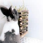 Hay feeder for rabbits in wood