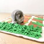 Rabbit foraging mat
