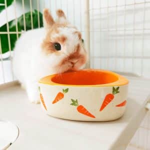 Rabbit bowl Rabbit World 2