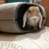 Round rabbit hideout