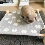 rabbit bed grey