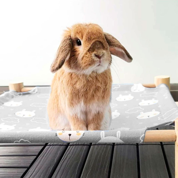 bed for rabbits