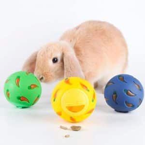 Rabbit balls