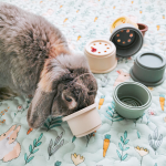 bunny stacking cups