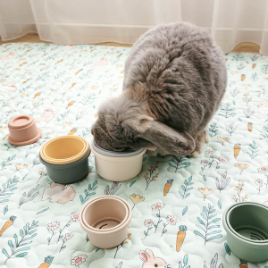 rabbit stacking-cups
