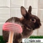 Rabbit brush silicone