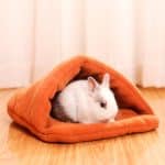 Indoor rabbit house orange