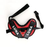 Rabbit harness personalised red
