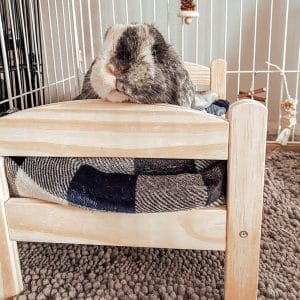 Wooden rabbit bed