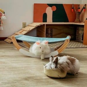 bed for rabbits