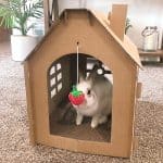 Rabbit house with scratching post