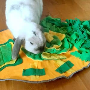 Toy for rabbit snuffle mat