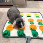 Rabbit foraging mat - rabbit toy