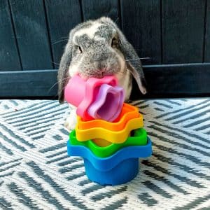Rabbit toy stacking cups