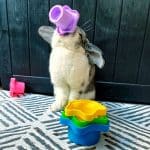 rabbit toy stacking cup