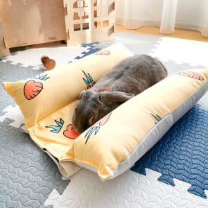 Rabbit bed cooling mat