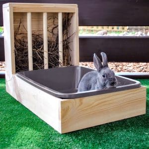 Rabbit hay feeder and litter tray