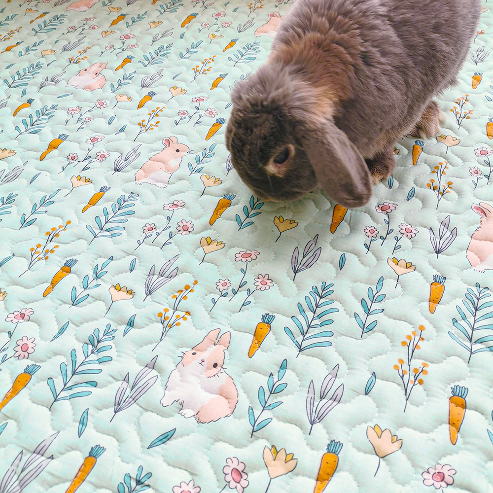 tapis de lapin