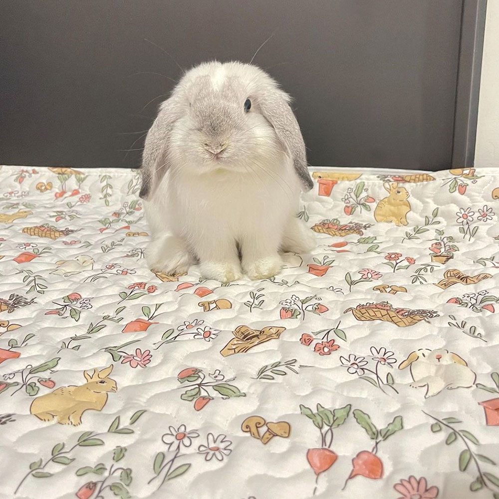 Rabbit litter floor mat - Bunny Supply - Rabbit floor mat - Flop Bunny