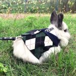 costume for rabbit