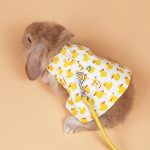 rabbit outfit harness