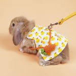rabbit harness