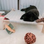 bed for rabbit hammock