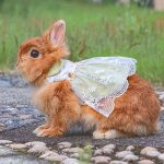 rabbit clothes