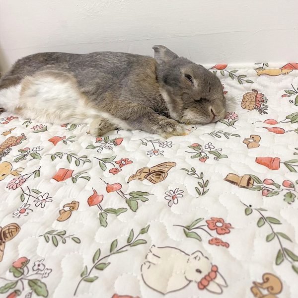 rabbit mat playmat