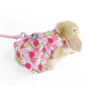clothes for rabbits