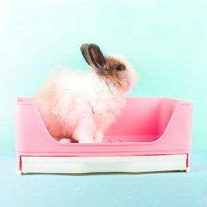Rabbit Litter Box, Dry Paws Every Day