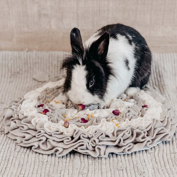Bunny Foraging Mat Toy