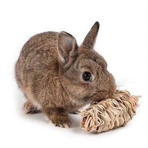 Rabbit Carrot Toy, Natural Gnawing Toys for Rabbits