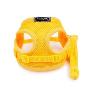 Rabbit Harness with Color, Safe Outdoor Adventures