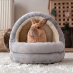 Indoor Rabbit House