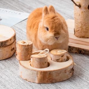 Rabbit Enrichment Interactive Wood Toy, Treat-Hiding Fun