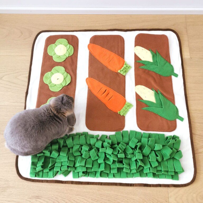 Rabbit Foraging Mat | Veggie Garden Enrichment Toy for Bunnies