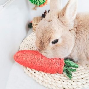 Gnawing Toys for Rabbits Carrot, Natural Luffa Fun