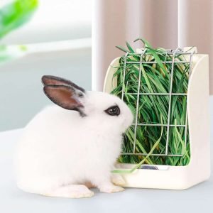 Rabbit Hay Feeder in Plastic, Clean Hay All Day