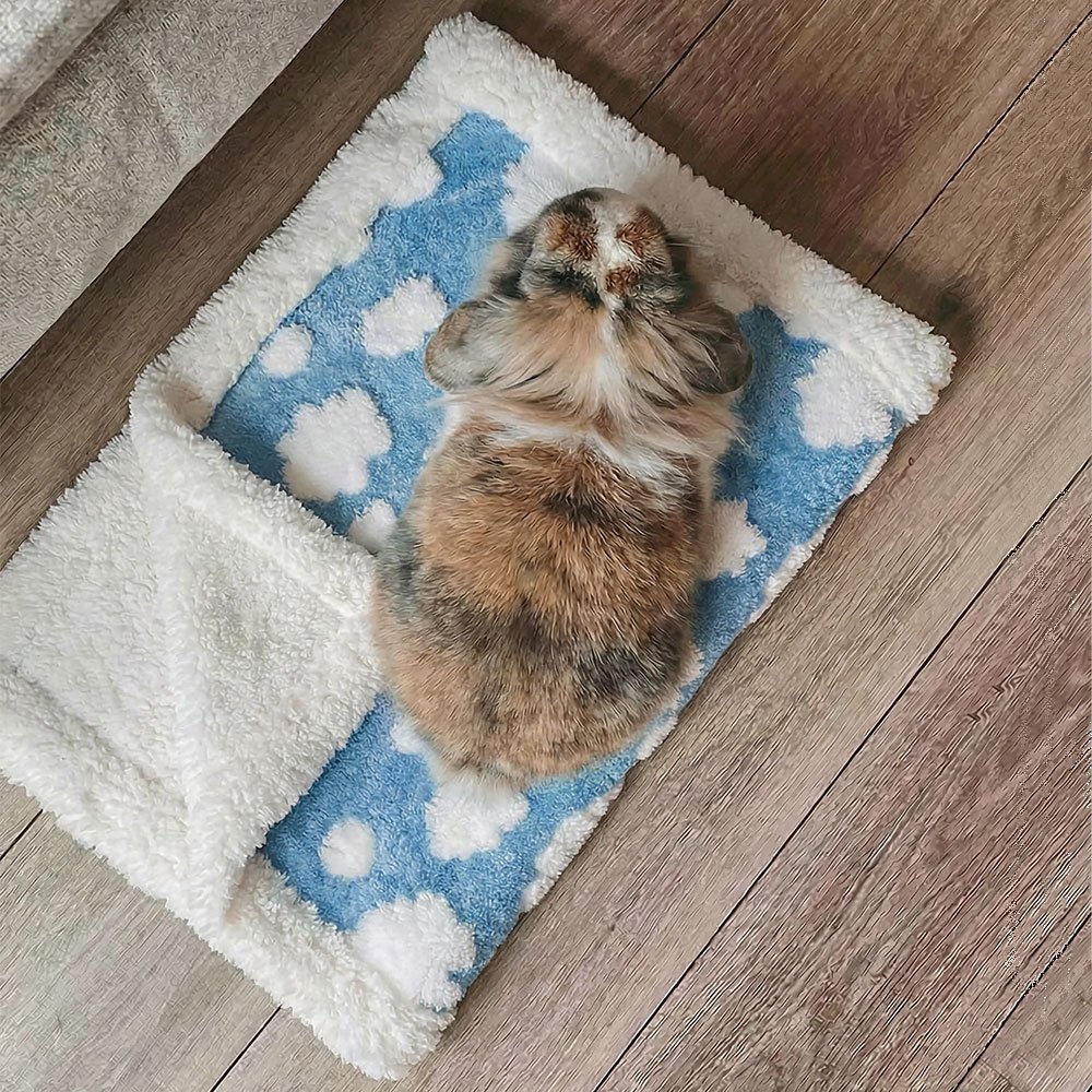 Soft blue and white fleece rabbit blanket used as a cozy resting layer.