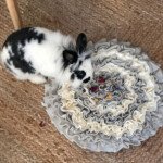 Rabbit Foraging Mat Toy