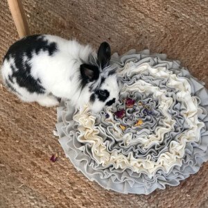 Rabbit Foraging Mat Toy