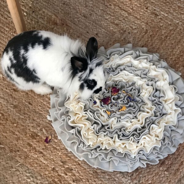 Rabbit Foraging Mat Toy