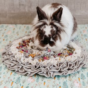 Rabbit Foraging Mat enrichment